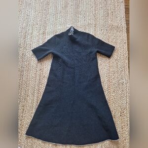 Womens Theory Dress Size TP.